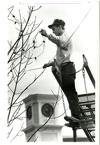 Joe Ramalho puts up Christmas lights