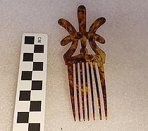 Comb, Ornamental