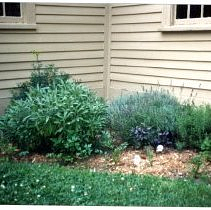 Herb Garden, Jason Russell House