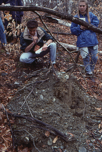 ENVI 102 - Introduction to Environmental Science in Moon Lot - Primmer Farm. 10. Mound from tree-fall on bank of the North Branch Birch Brook.