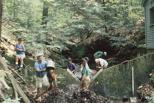 Weir Day 4 August 1994, South Branch Birch Brook.