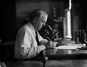 William F. Clapp, malacologist, Museum of Comparative Zoology, looking through a microscope
