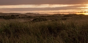 View across the dunes near Fowler Dune Shack at sunrise, Provincetown
