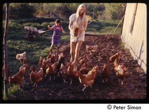 Woman and girl tending chickens, Tree Frog Farm commune