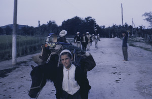 Leaving market, Peć