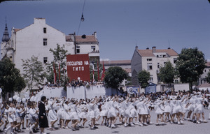 Marchers in bug costume at national celebration in Skopje