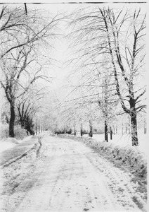 Campus Views, Roads and Walks 1920-1989