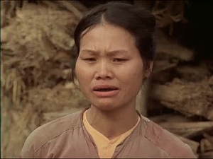 Vietnam: A Television History; Interview with Hoang Thi Dan, 1981