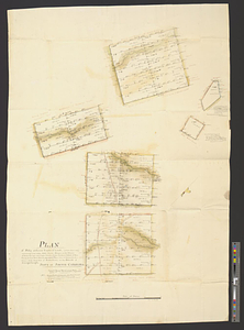 Plan of fifty different tracts of land, (of 1000 acres each) containing in the whole 50,000 acres, situate on the waters of Rocky Springs, called Poplar Branch, Cedar Creek, on hollows of Dean Swamp, &c Sweet Water Branch, Marrow Bone Creek, Goose Patter Creek, & Burkelow Creek, waters of the south fork of Edisto River, in the district of Orangeburgh, State of South Carolina