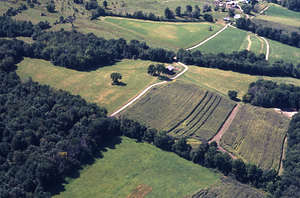 Aerial color image of Pratt Farm, Old Northwest Hill Road, Pownal, VT. False Color Infrared/True Color Project.