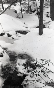 Stream running through snow-covered woods