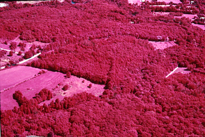 Aerial false-color IR image of Northwest Hill Road from Mason's residence to Beinecke residence.
