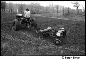 Harvey Wasserman driving a tractor with disc tiller, Montague Farm Commune