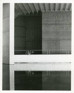 Bicycle and reflecting pool