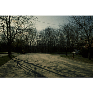 Neighborhood street surrounded by trees