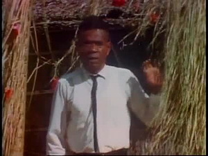 NET Festival; Margaret Mead's New Guinea Journal. Part 2