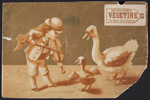 Trade card for Vegetine, the great blood purifier, H.R. Stevens, No. 464 Broadway, Boston, Mass. and Toronto, Ontario, 1880
