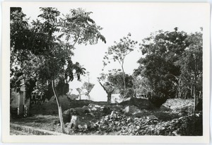 Ruins and revegetation, Thái Bình