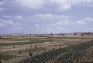 View of fields