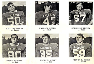 Danvers Falcon football program