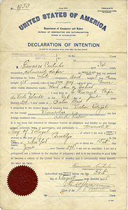 Francisco Coutinho declaration of intention