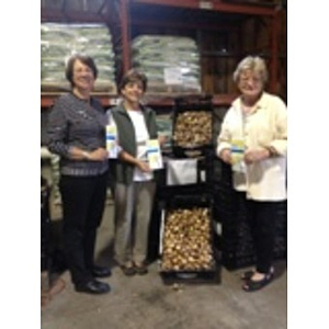 Women stand next to boxes of daffodil bulbs