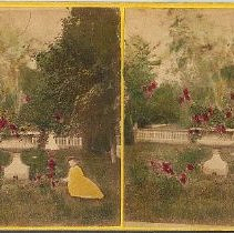 Potter's Grove: Yellow background with red roses