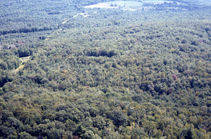 Aerial oblique view east from west of the Moon Lot with NW Hill Rd (left) on 2 Sept 1971.