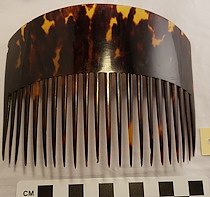 Comb, Ornamental