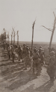 French soldiers and horses walking down a dirt road lined with damaged trees