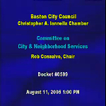 Committee on City & Neighborhood Services hearing recording, August 11, 2005