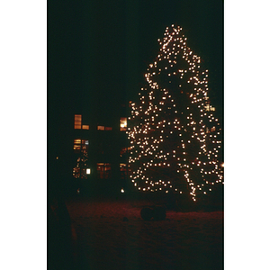NU Christmas tree