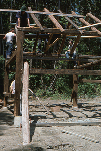 Readjusting rafters (1) at the Moon Barn Raising at entrance to Hopkins Forest on 2 August 1975.