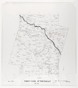 Forest Cover of the Moon Lot map