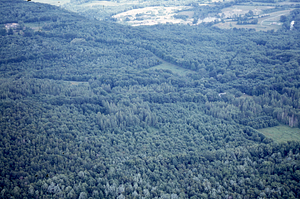 Aerial oblique view to the north of Ford Glen Brook and southeastern Hopkins Forest on 14 July 1971.