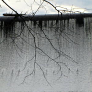 Branches & Waterfall, Leeds