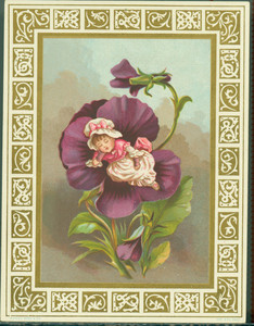 Christmas card, depicting a young girl sleeping on a purple pansy, undated