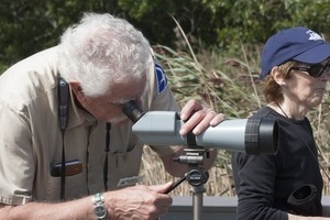 Irwin Schorr (Mass Audubon Society volunteer) looking through a monocular while birding, Wellfleet Bay Wildlife Sanctuary