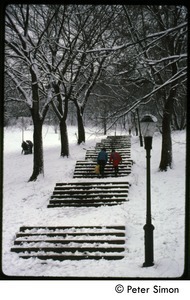 Flight of steps in heavy snow, Riverdale, N.Y.