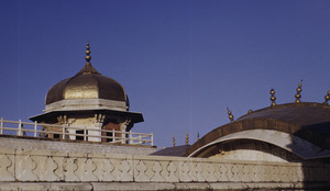 Architectural detail of Diwan-i Khass (Khas Mahal) inside the Agra fort