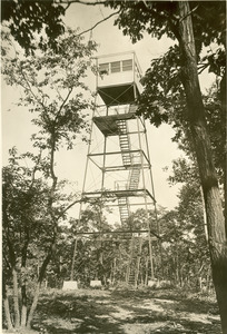 Forestry and Wildlife Management - Mt. Toby Tower