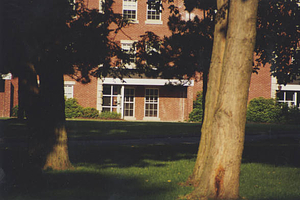 Townhouses through trees (June, 2002)
