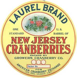 Laurel Brand