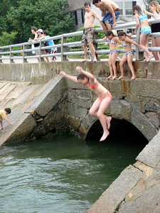 Bluefish Bridge jumping