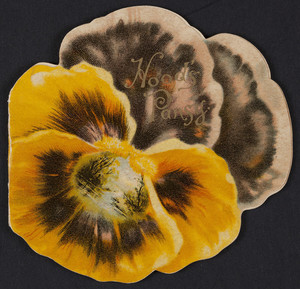 Hood's pansy, published by C.I. Hood & Co., Lowell, Mass., undated