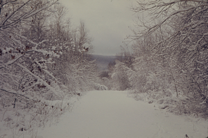 View to east from Hopkins' pasture on Carriage Road morning after 8 December 1972 snowstorm.