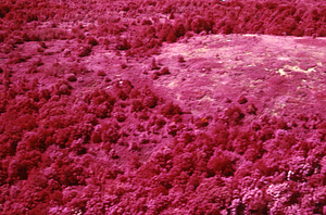 Aerial false color IR image of Jim Smith Hill. False Color Infrared/True Color Project.