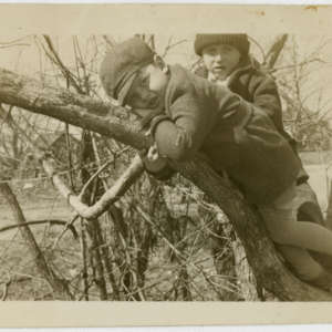 Patrick E. Bowe Nursery School - Students from 1935 - 1938 - boys climbing trees
