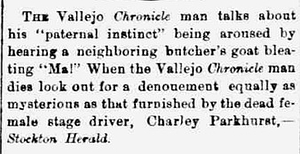 The Vallejo Chronicle Man