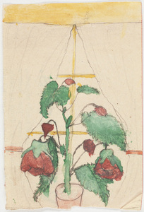 Drawing of red flowers in yellow window